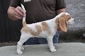 Afb_20120808_Pepper (7)